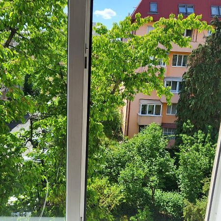 Apartament Florilor Baia Mare Bagian luar foto